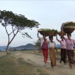 MM_AL_Mrauk U 04